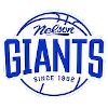 塔拉纳基山地